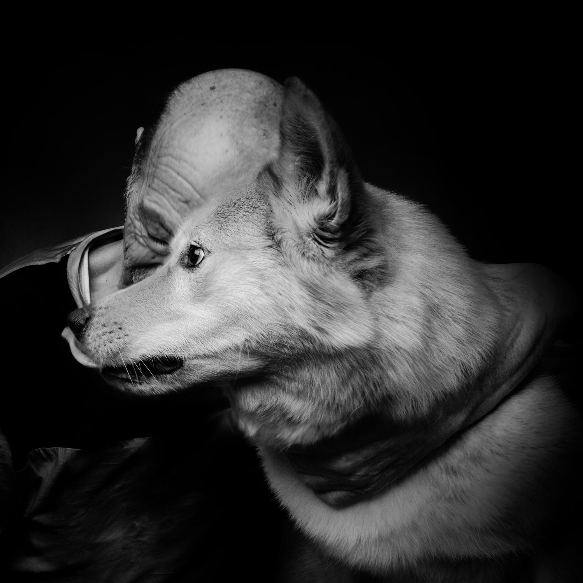 Ignazio con Eyra, il cane di Elena, operatrice dell'hospice, &egrave; la mascotte del reparto