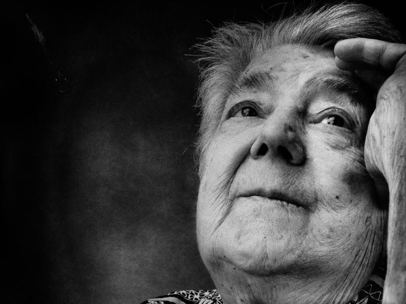 Rosa. Illuminare il buio grande con la luce di occhi che molto hanno visto.