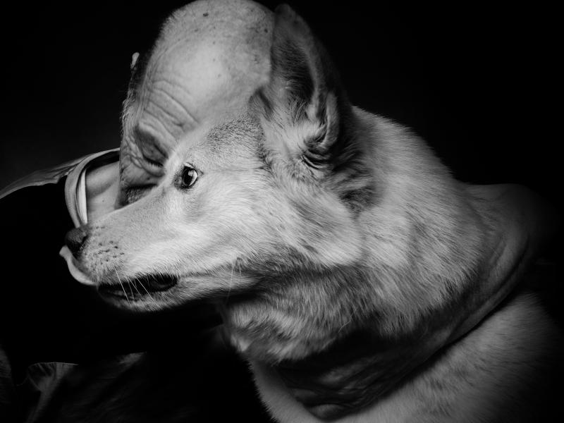 Ignazio con Eyra, il cane di Elena, operatrice dell'hospice, &egrave; la mascotte del reparto